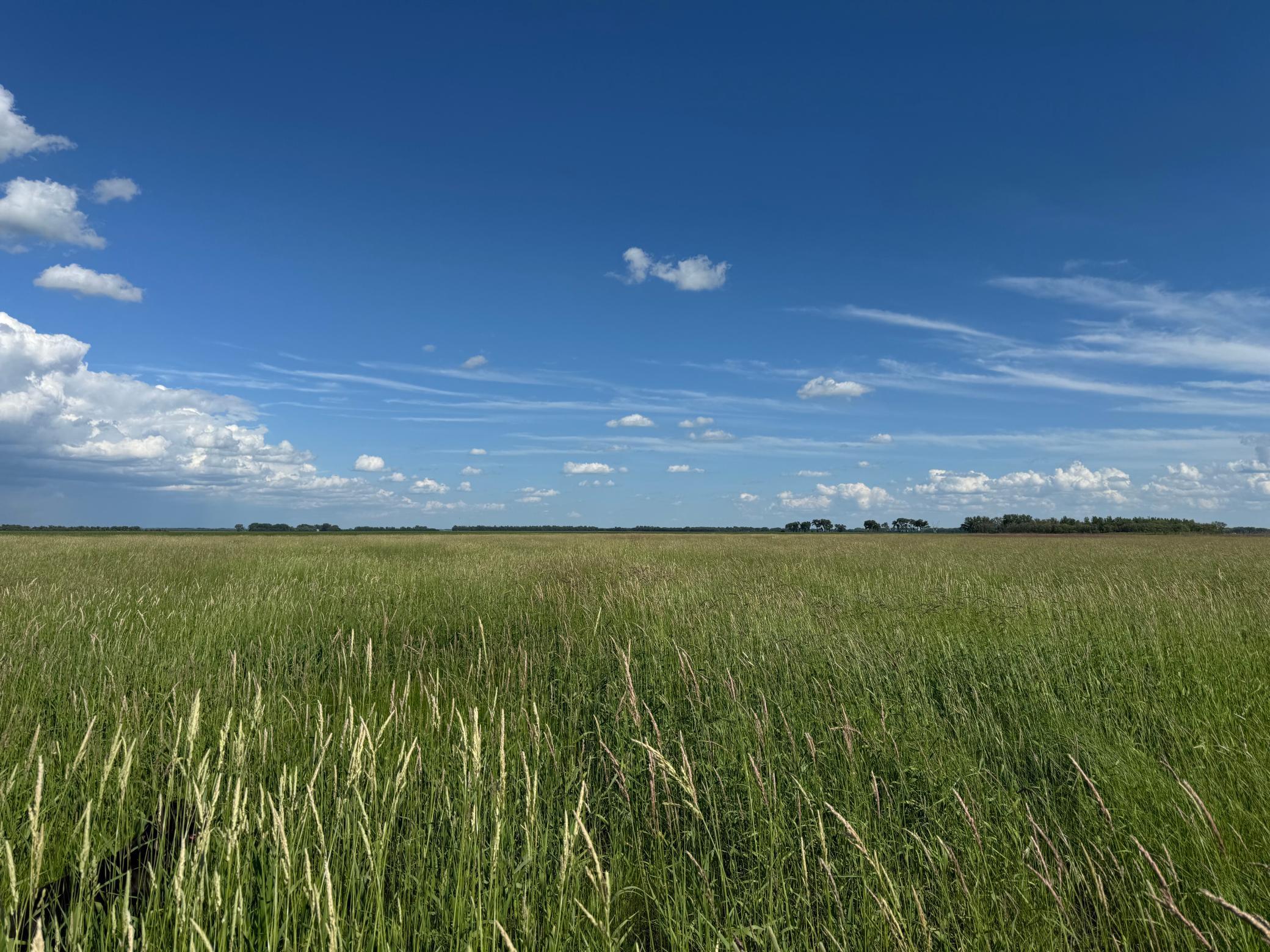 TBD County Road 26, Rothsay, Minnesota image 41