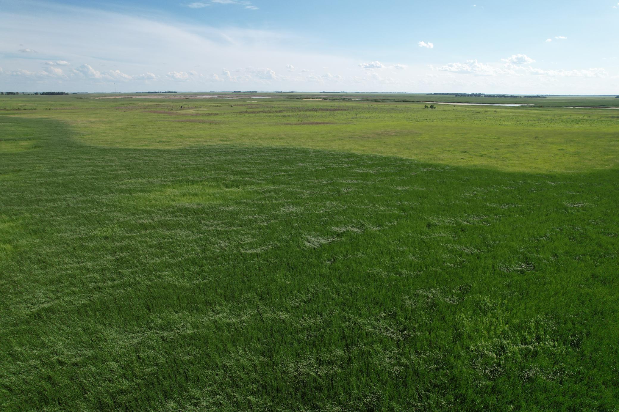 TBD County Road 26, Rothsay, Minnesota image 22