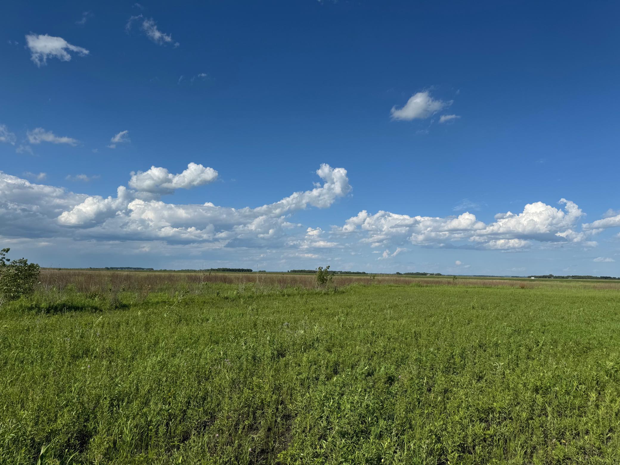 TBD County Road 26, Rothsay, Minnesota image 25
