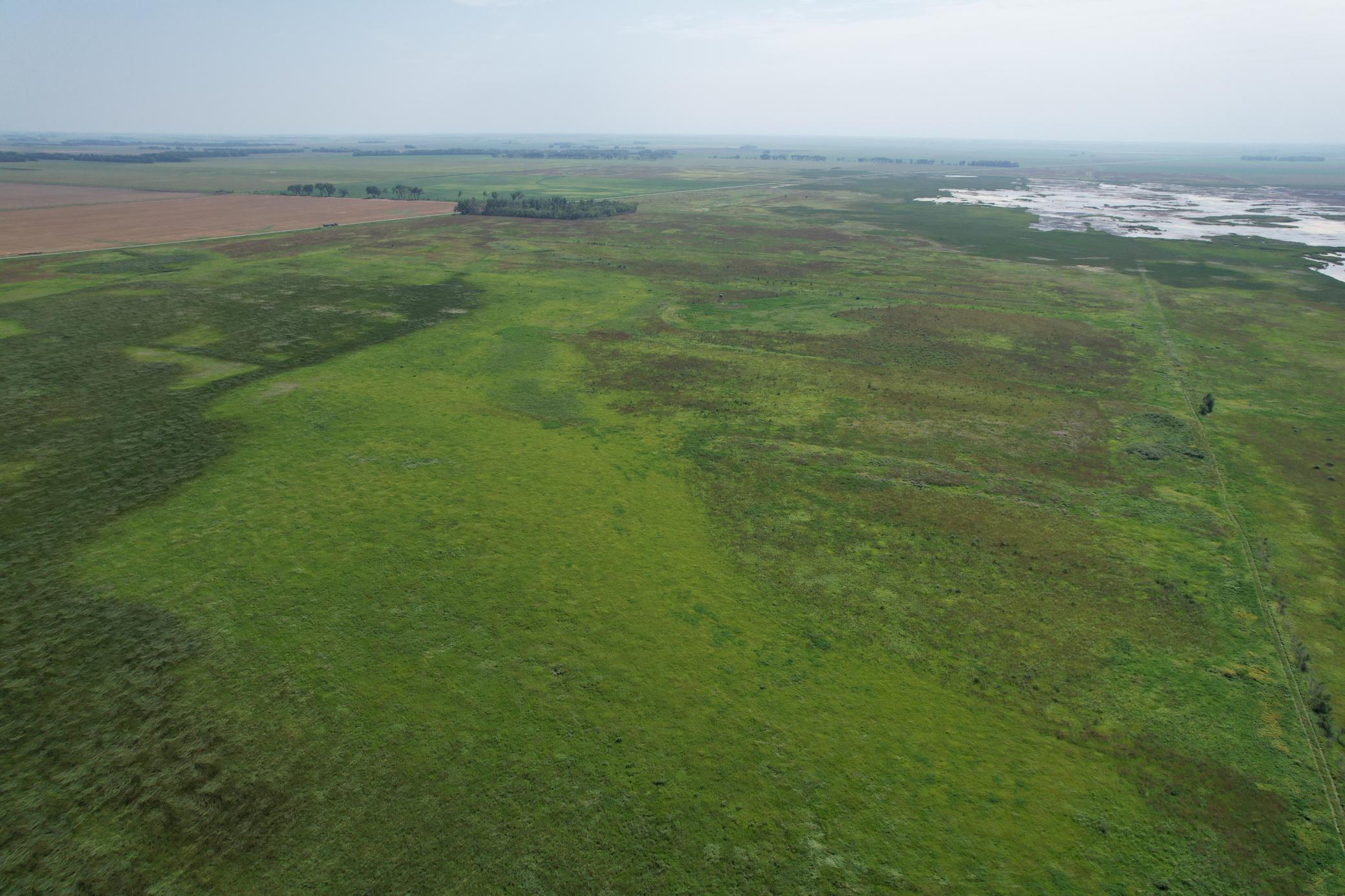 TBD County Road 26, Rothsay, Minnesota image 4
