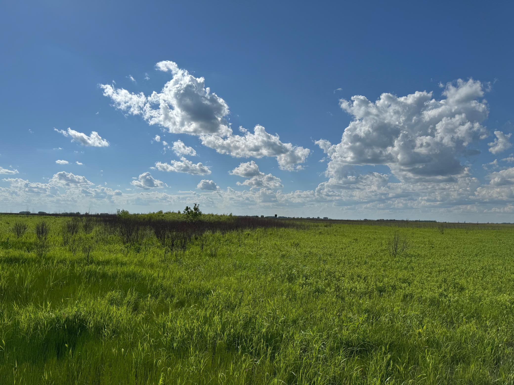 TBD County Road 26, Rothsay, Minnesota image 35