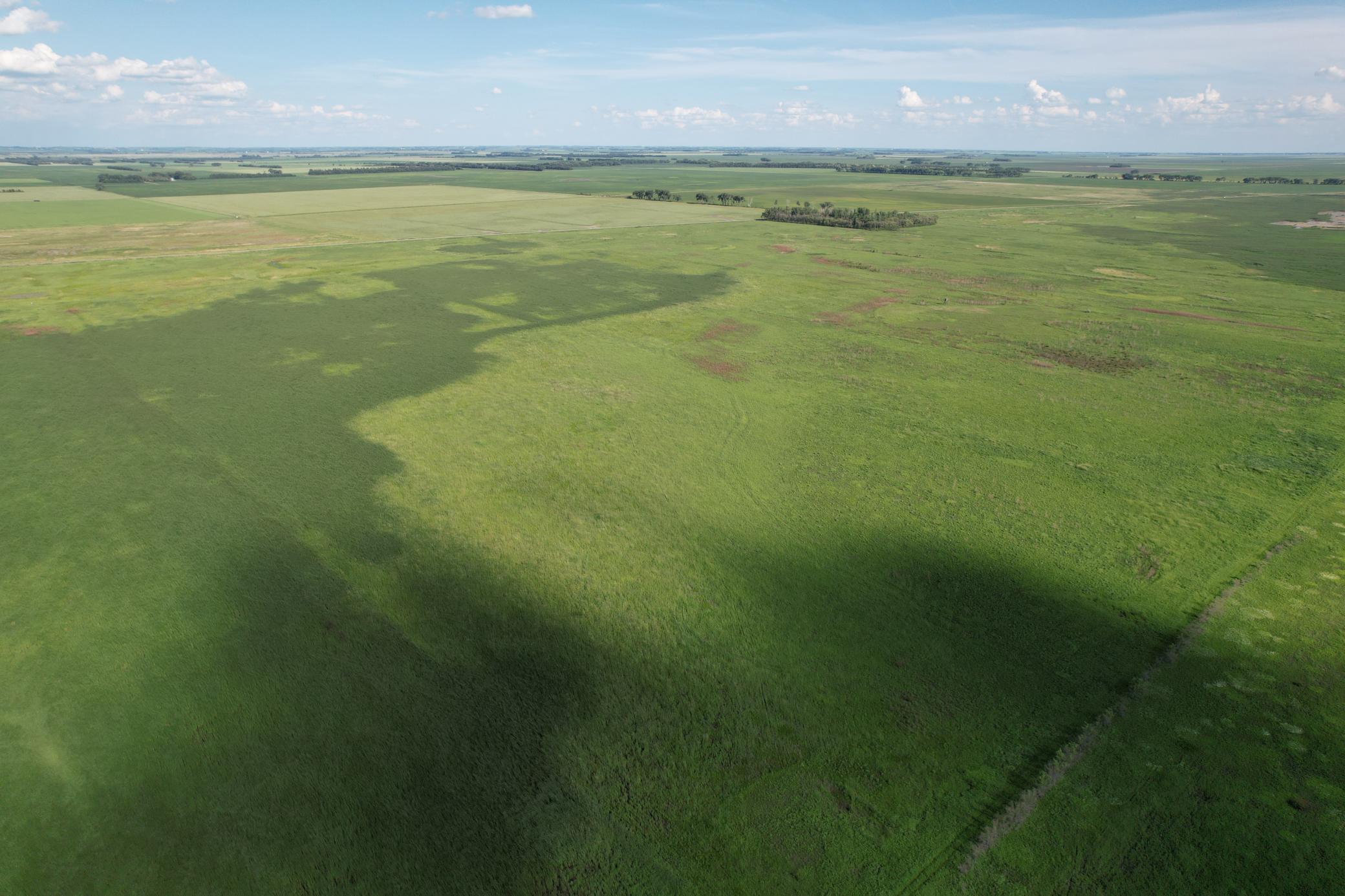 TBD County Road 26, Rothsay, Minnesota image 9