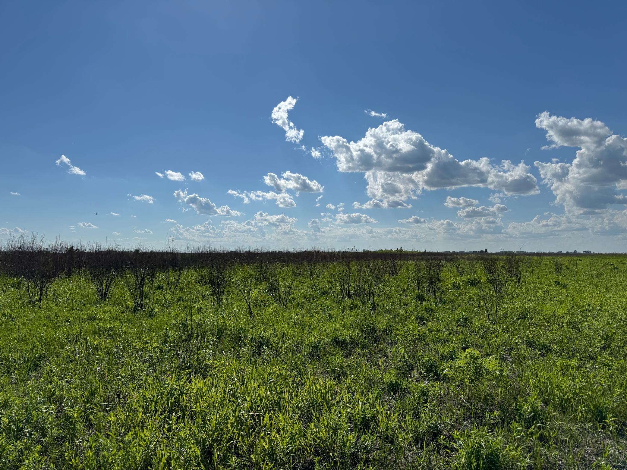 TBD County Road 26, Rothsay, Minnesota image 36