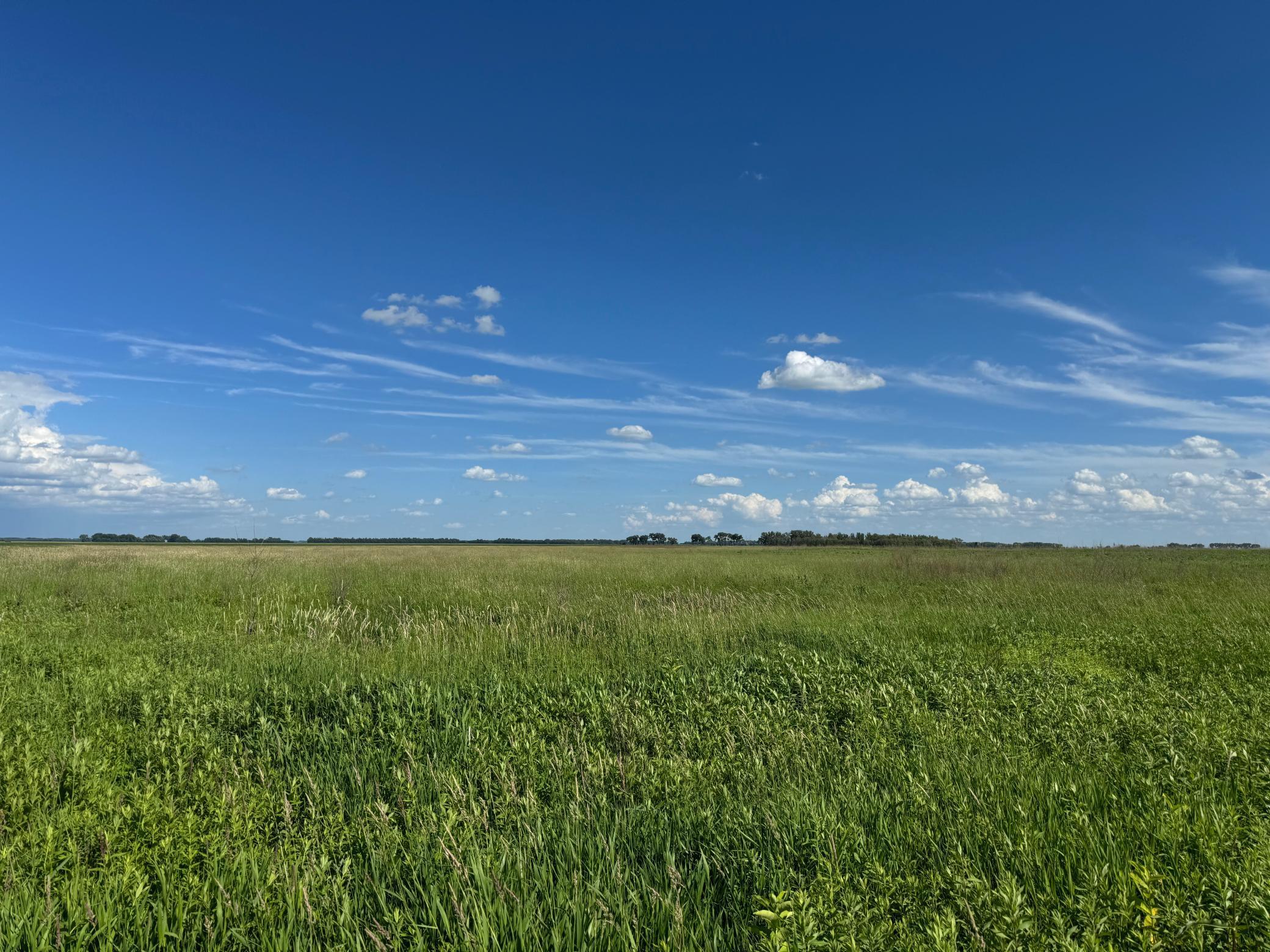 TBD County Road 26, Rothsay, Minnesota image 42