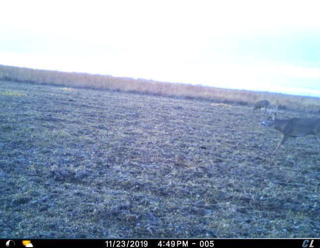 TBD County Road 26, Rothsay, Minnesota image 44