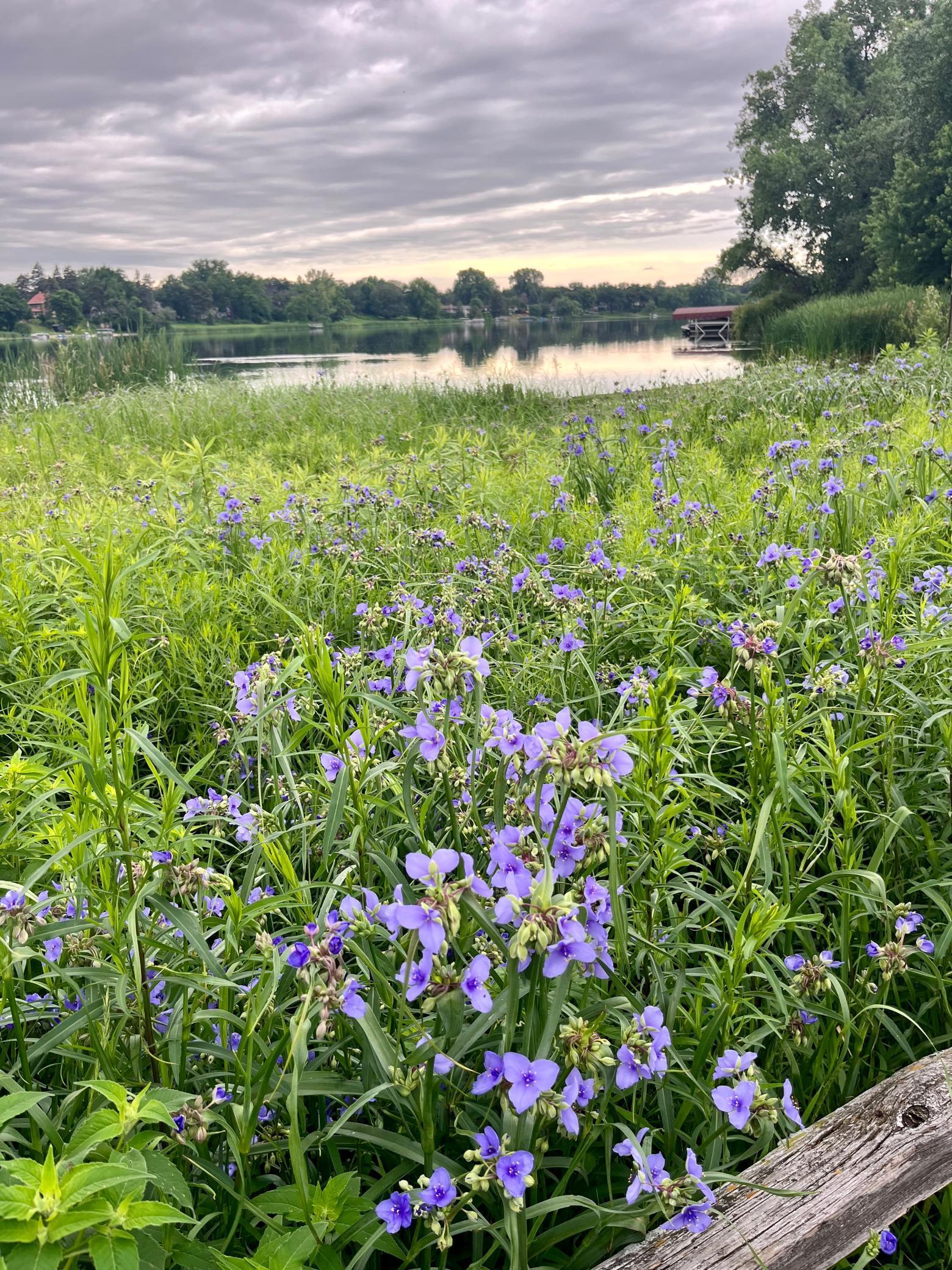 4201 Lakeside Avenue #217, Brooklyn Center, Minnesota image 32