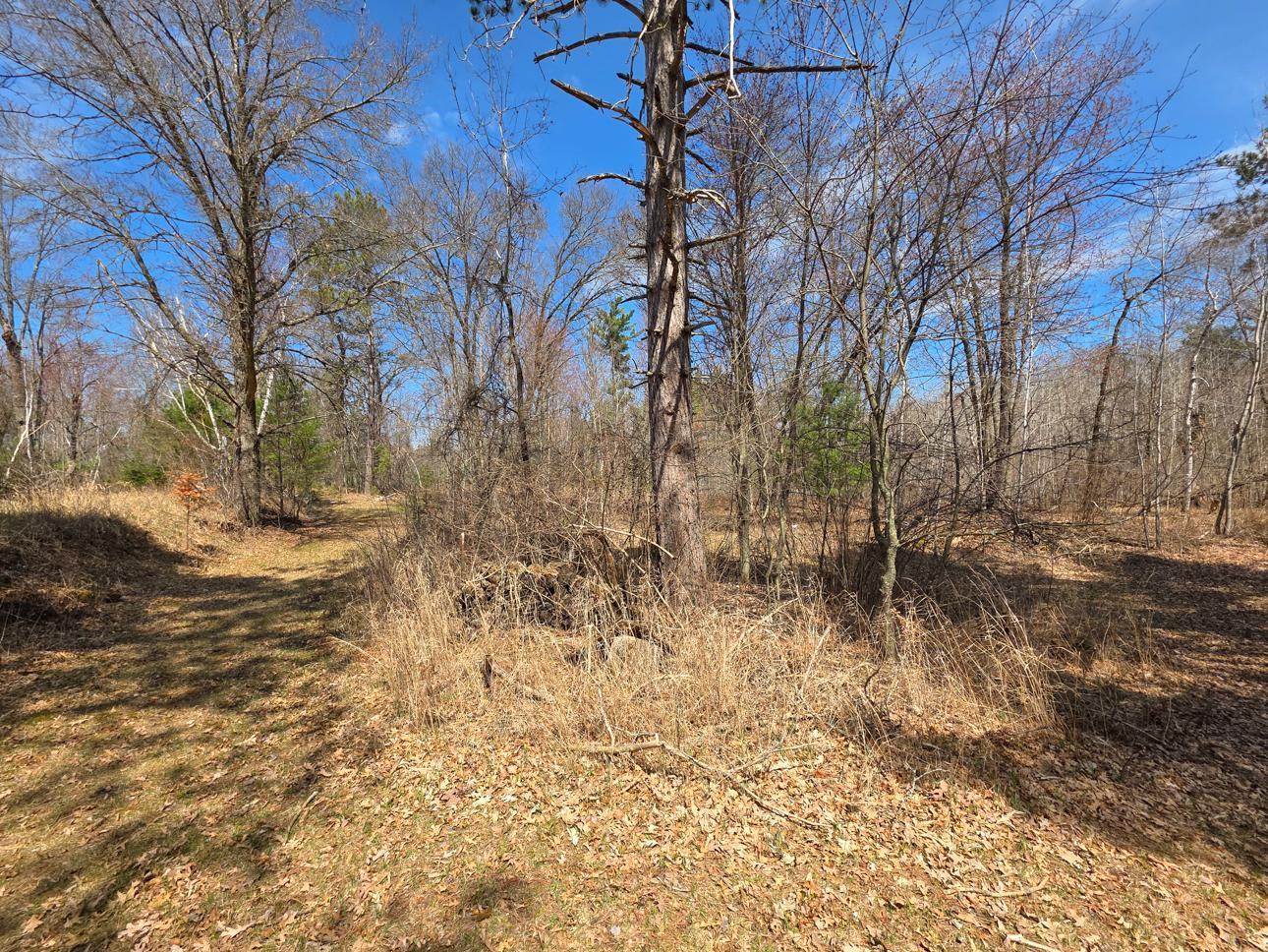 28811 Cr-h, Danbury, Wisconsin image 44