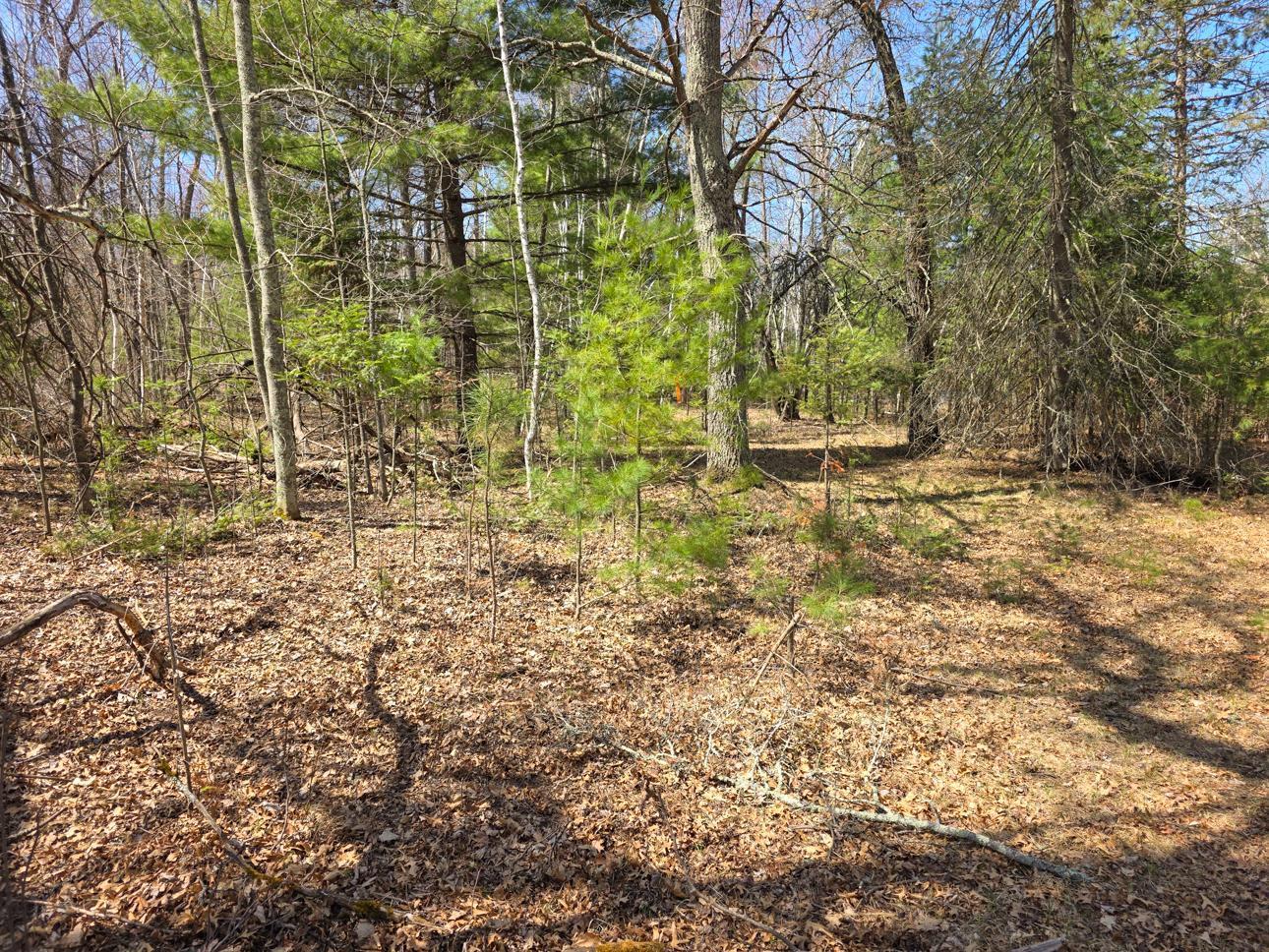 28811 Cr-h, Danbury, Wisconsin image 35