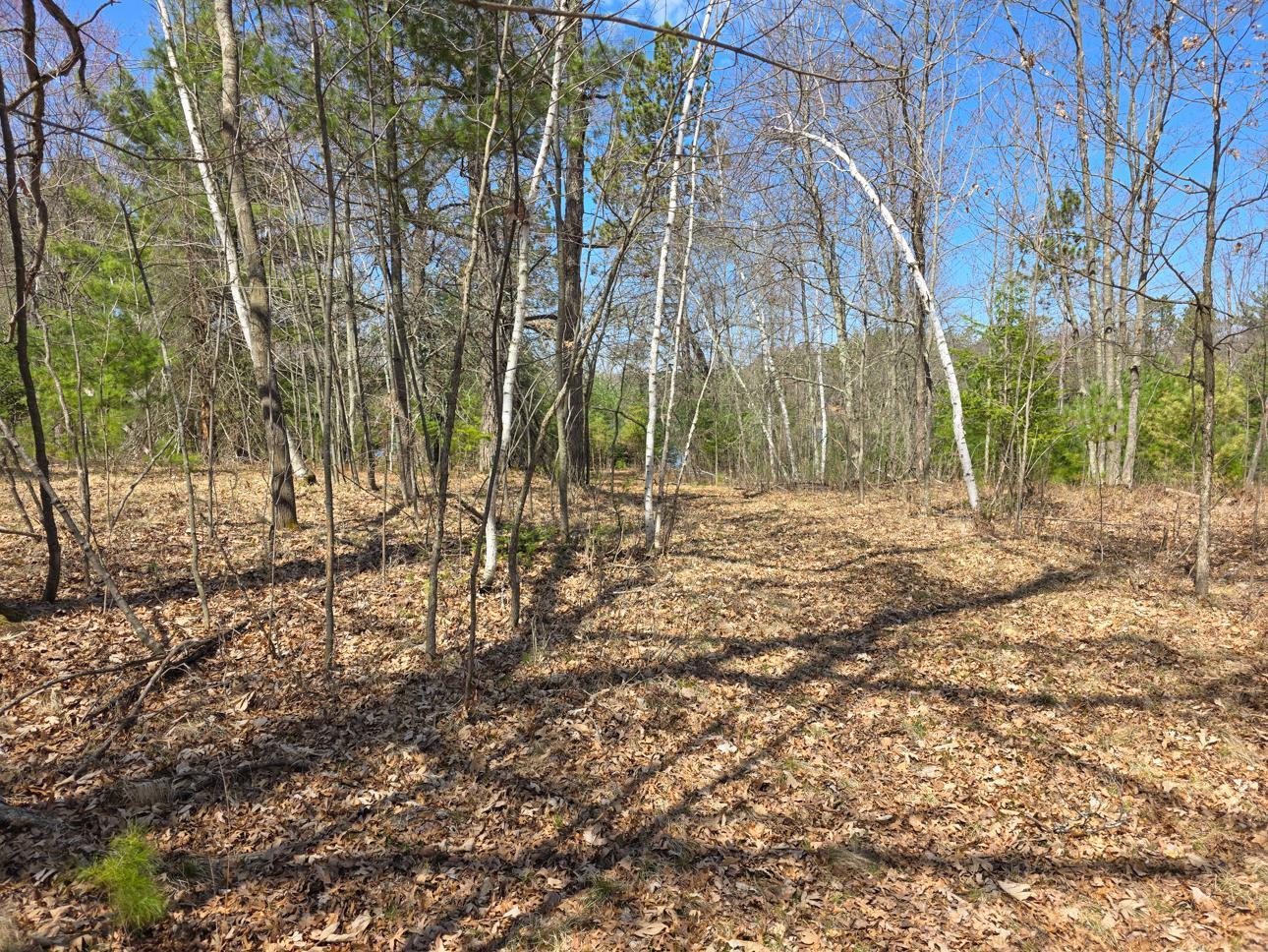 28811 Cr-h, Danbury, Wisconsin image 37