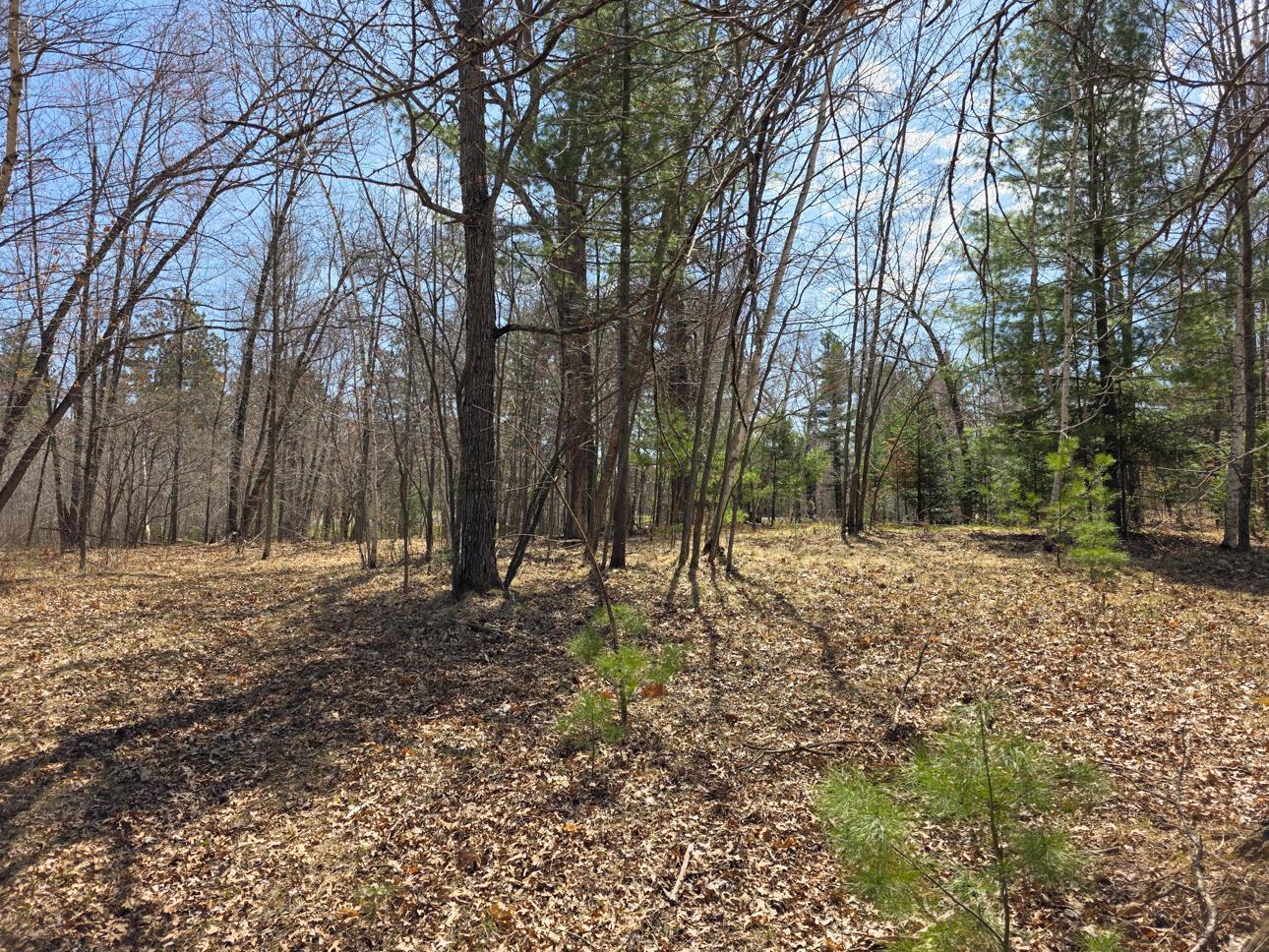 28811 Cr-h, Danbury, Wisconsin image 34