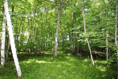 Vacant Land For Sale - 4967X Fish Lake Road<br/> Pelican Rapids, MN 56572