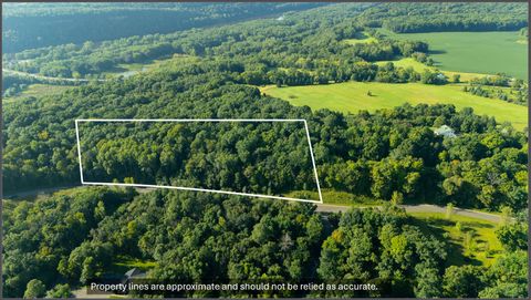 Vacant Land For Sale - TBD 263rd Street<br/> Shafer, MN 55074