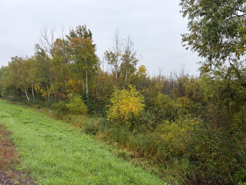 Vacant Land For Sale - XXX Stevens Road<br/> Onamia, MN 56359