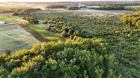 Vacant Land For Sale - TBD 120th Ave<br/> Morrison County, Little Falls, MN 56345