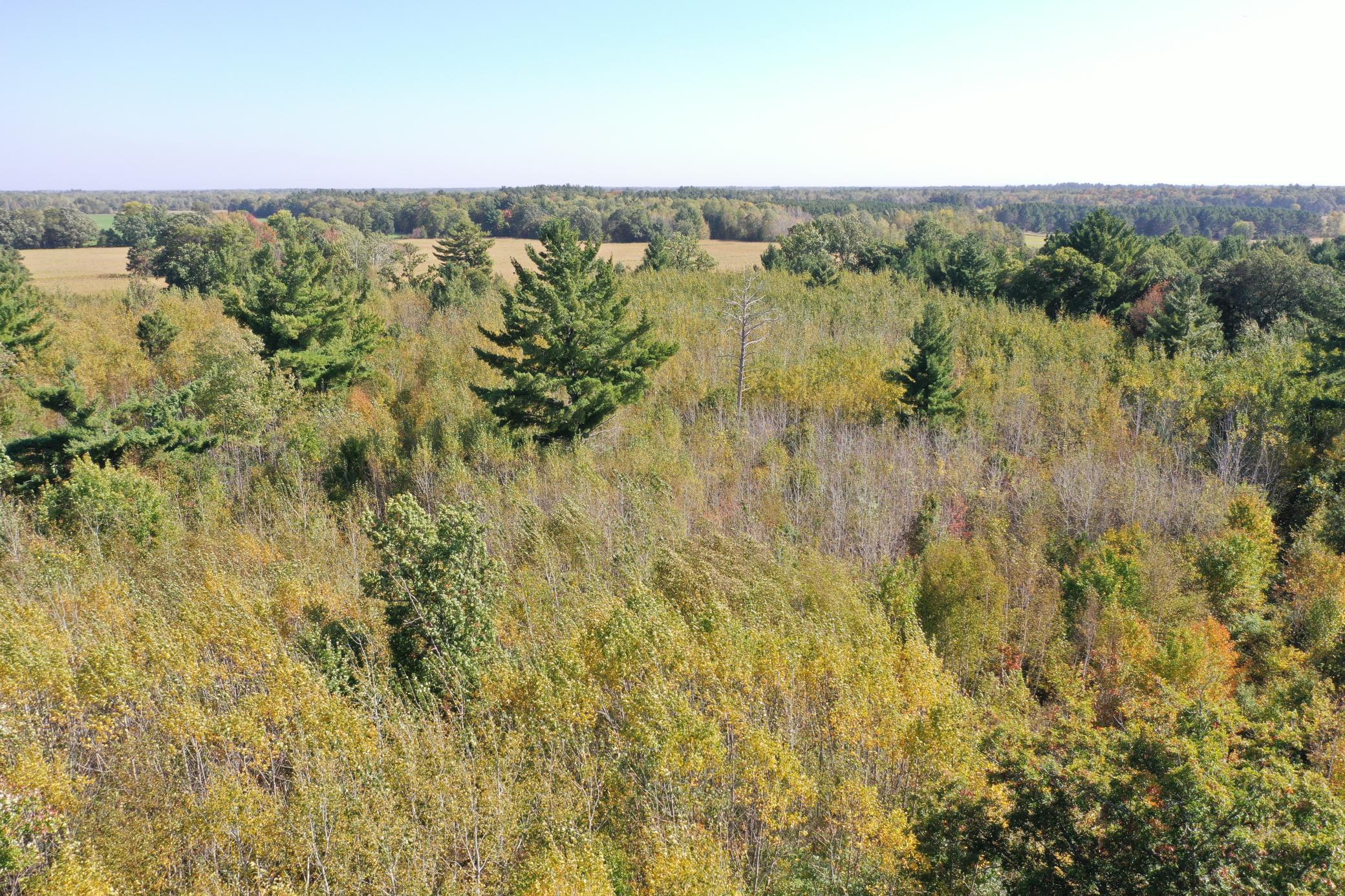 XXX Bluebird Trail, Webster, Wisconsin image 8