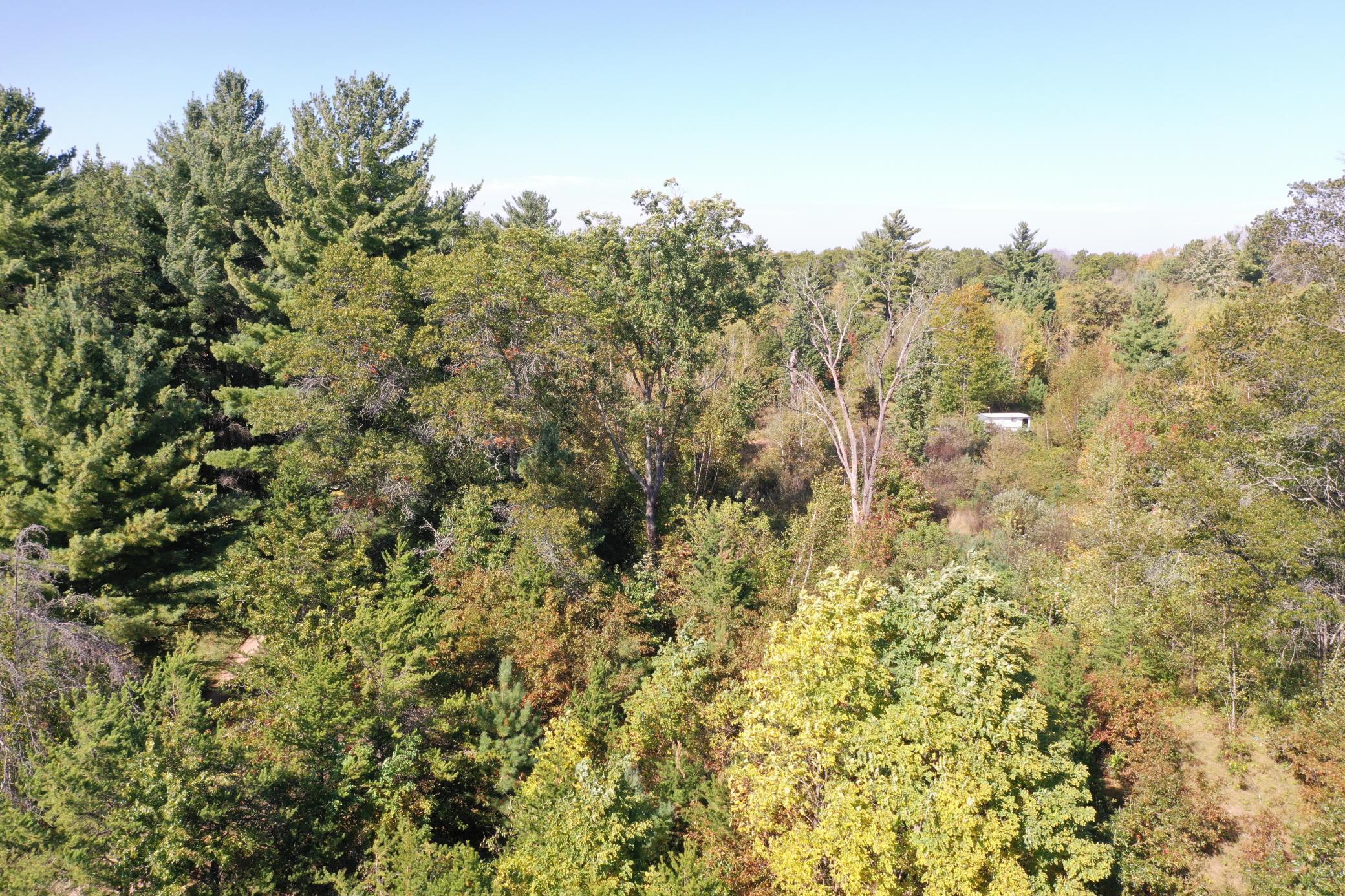 XXX Bluebird Trail, Webster, Wisconsin image 3