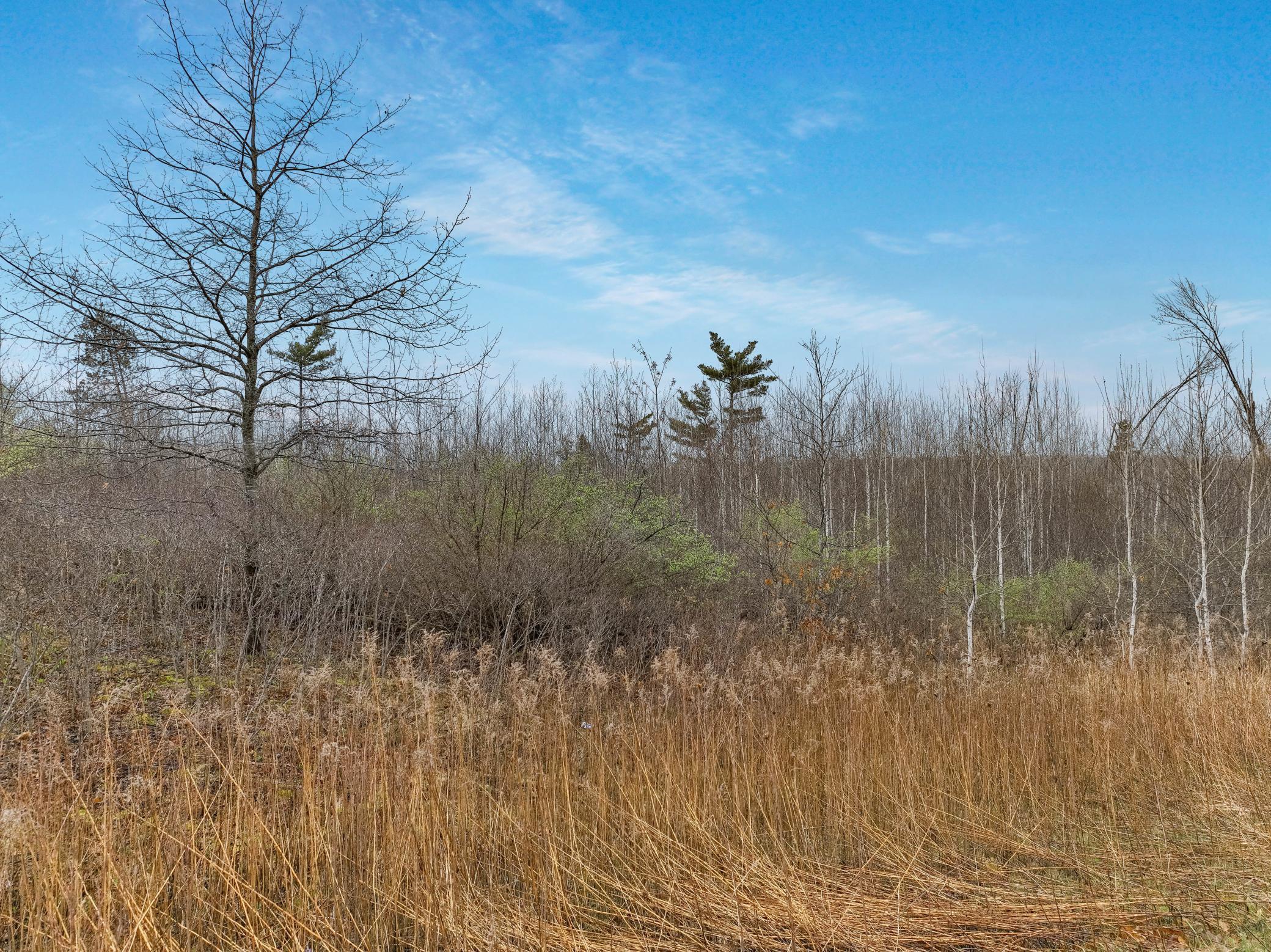Lot 2 25th Street, Cameron, Wisconsin image 6