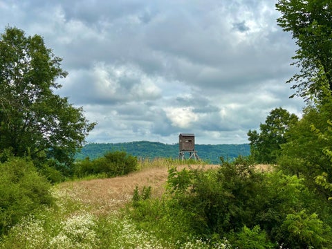 Vacant Land For Sale - TBD89 County 13<br/> Houston, MN 55943
