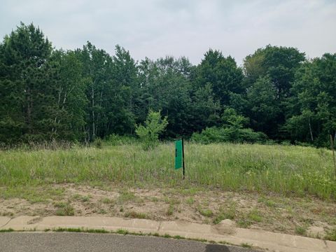 Vacant Land For Sale - 16227 Austin St Ne St<br/> Ham Lake, MN 55304