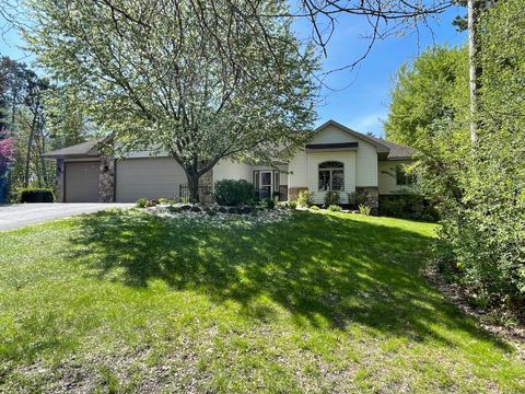 Homes For Sale - 3932 162nd Lane<br/> Andover, MN 55304