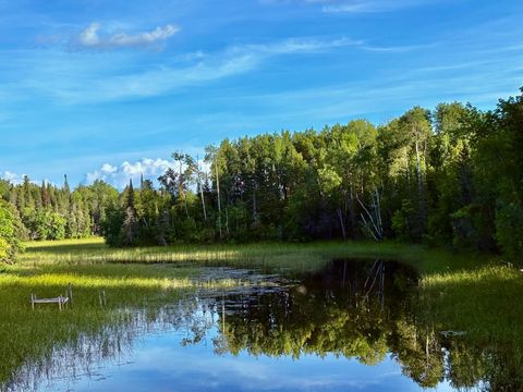 Vacant Land For Sale - TBD 25th Ave Se<br/> Baudette, MN 56623