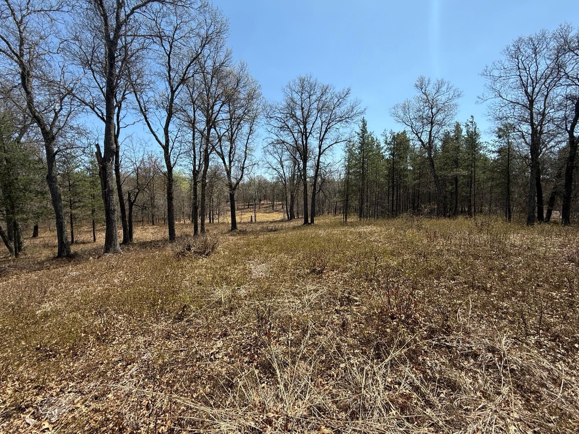 29937 N Bay Drive, Danbury, Wisconsin image 3