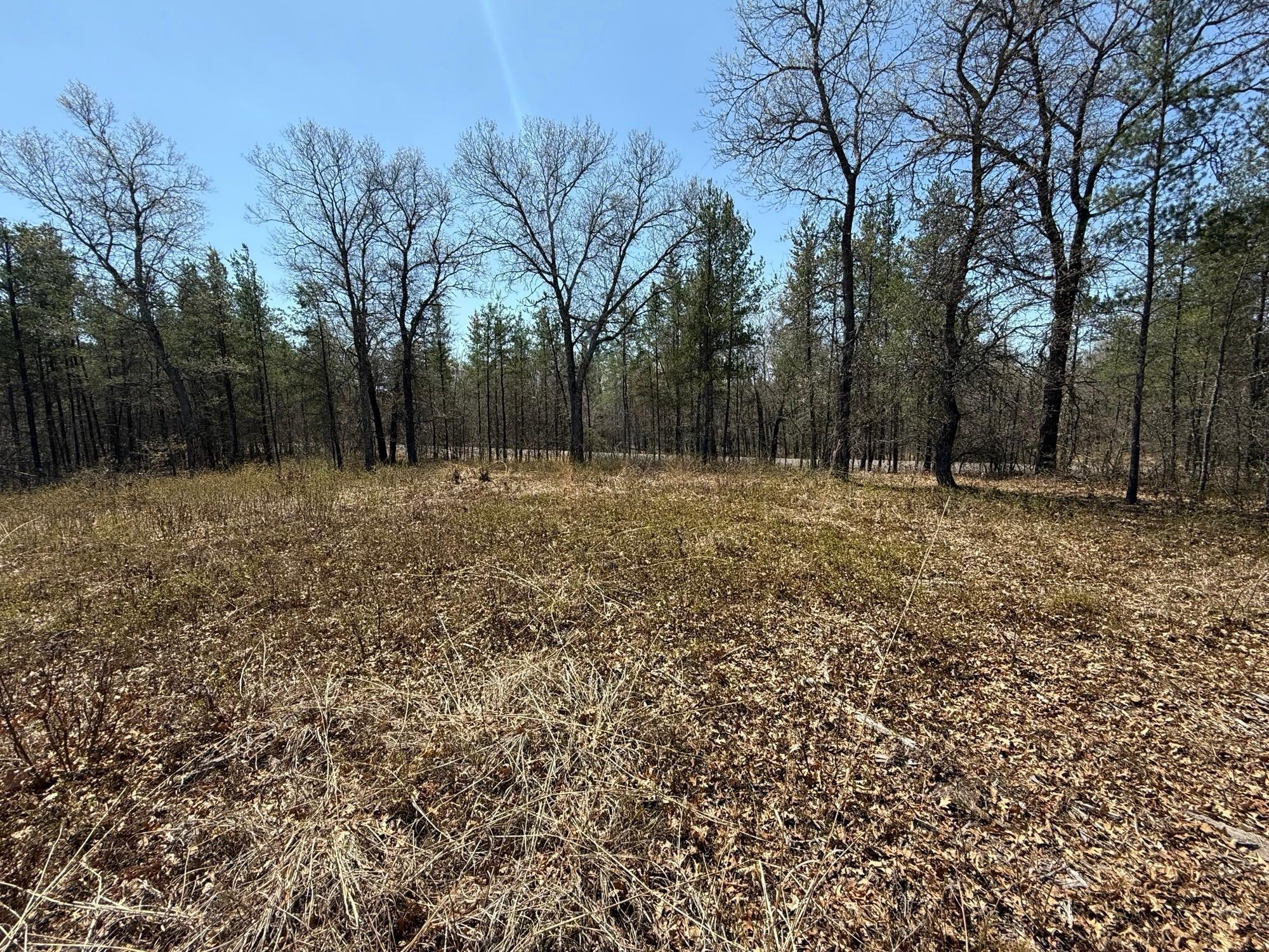 29937 N Bay Drive, Danbury, Wisconsin image 2