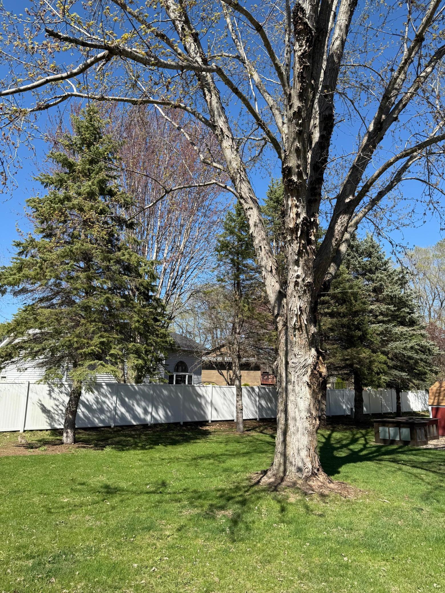 207 12th Street, Sartell, Minnesota image 32