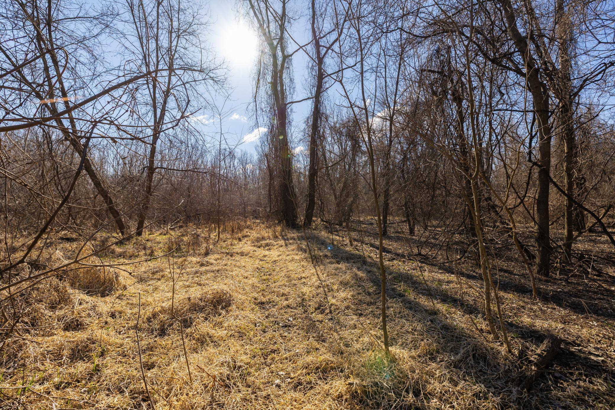 Xxx Grove St., Le Sueur, Minnesota image 43