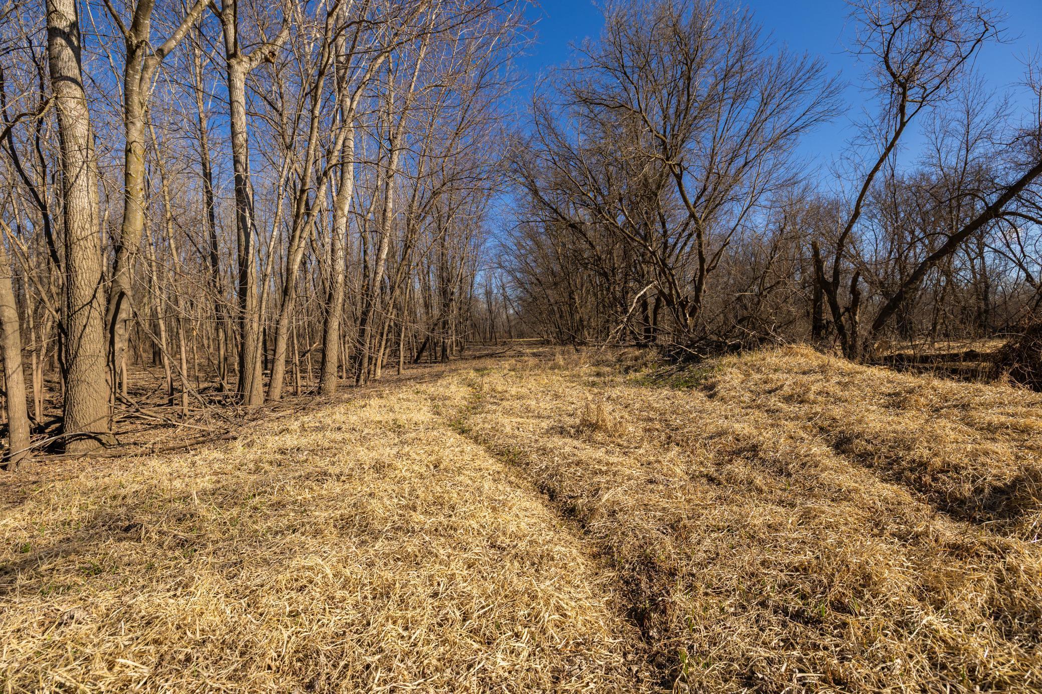 Xxx Grove St., Le Sueur, Minnesota image 27