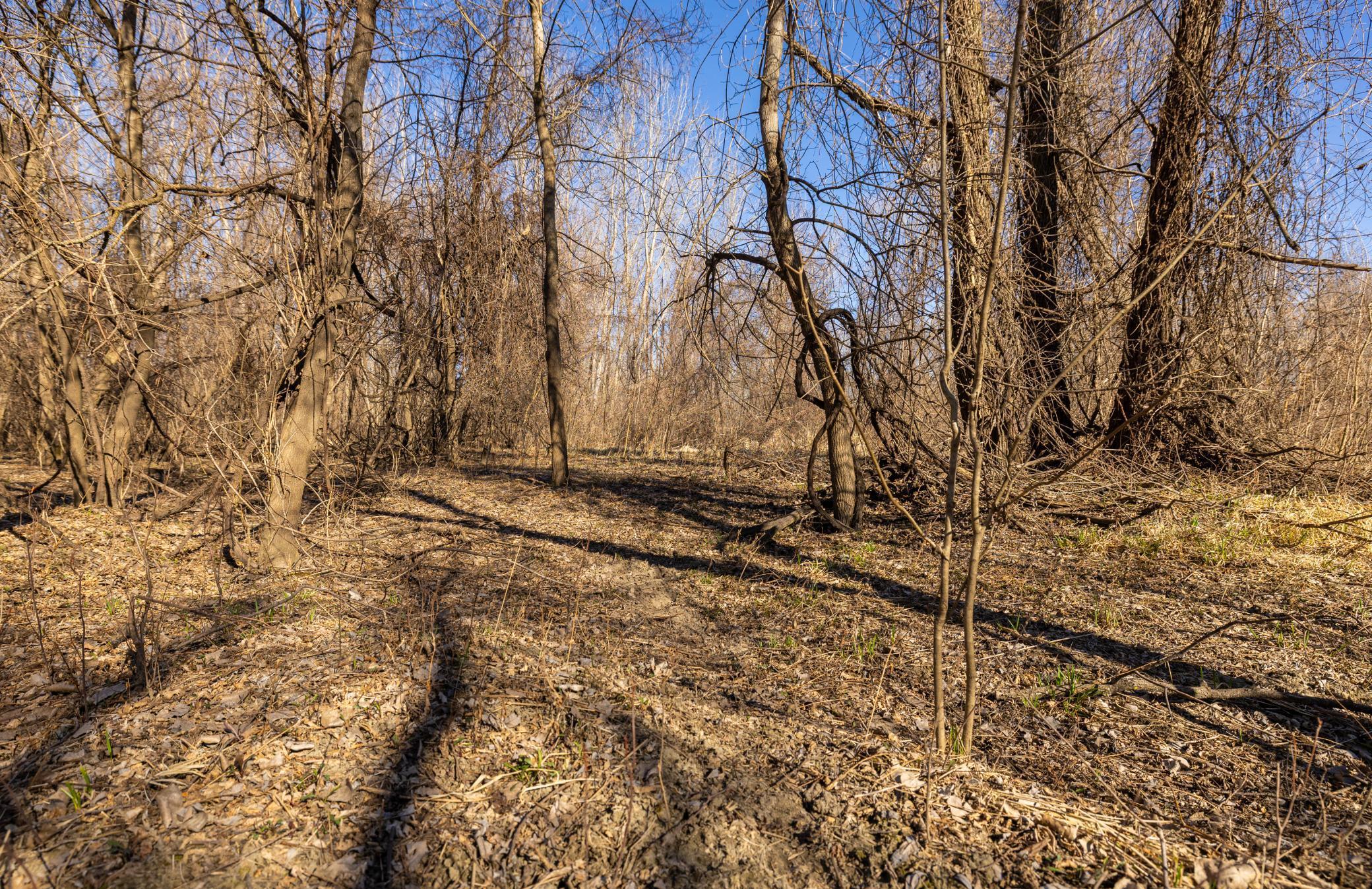 Xxx Grove St., Le Sueur, Minnesota image 41