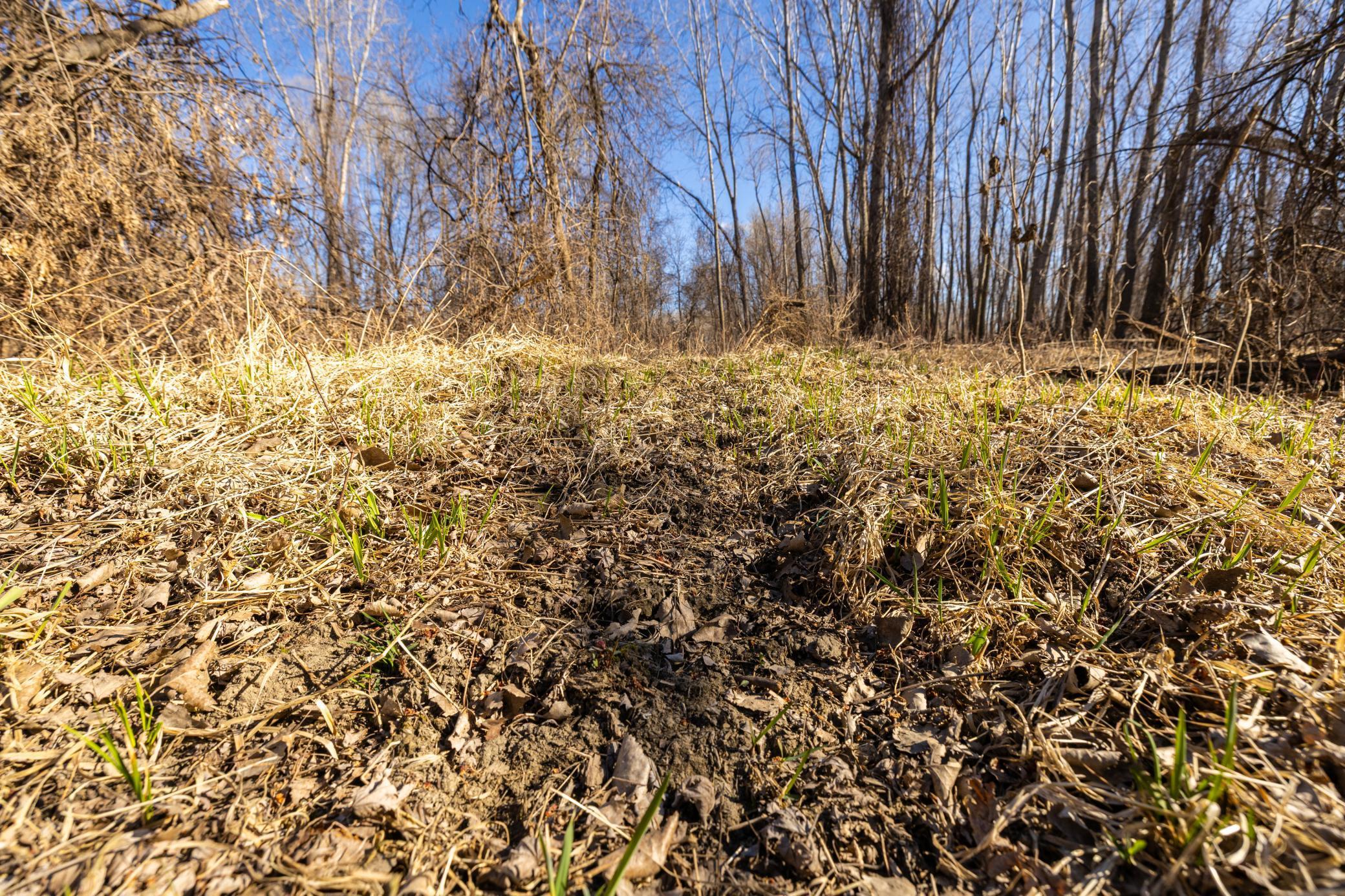 Xxx Grove St., Le Sueur, Minnesota image 38