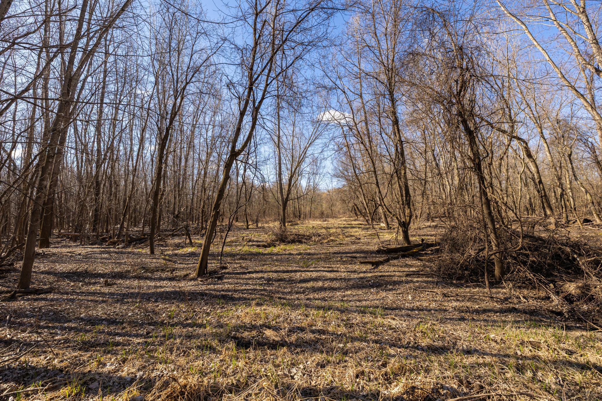 Xxx Grove St., Le Sueur, Minnesota image 34