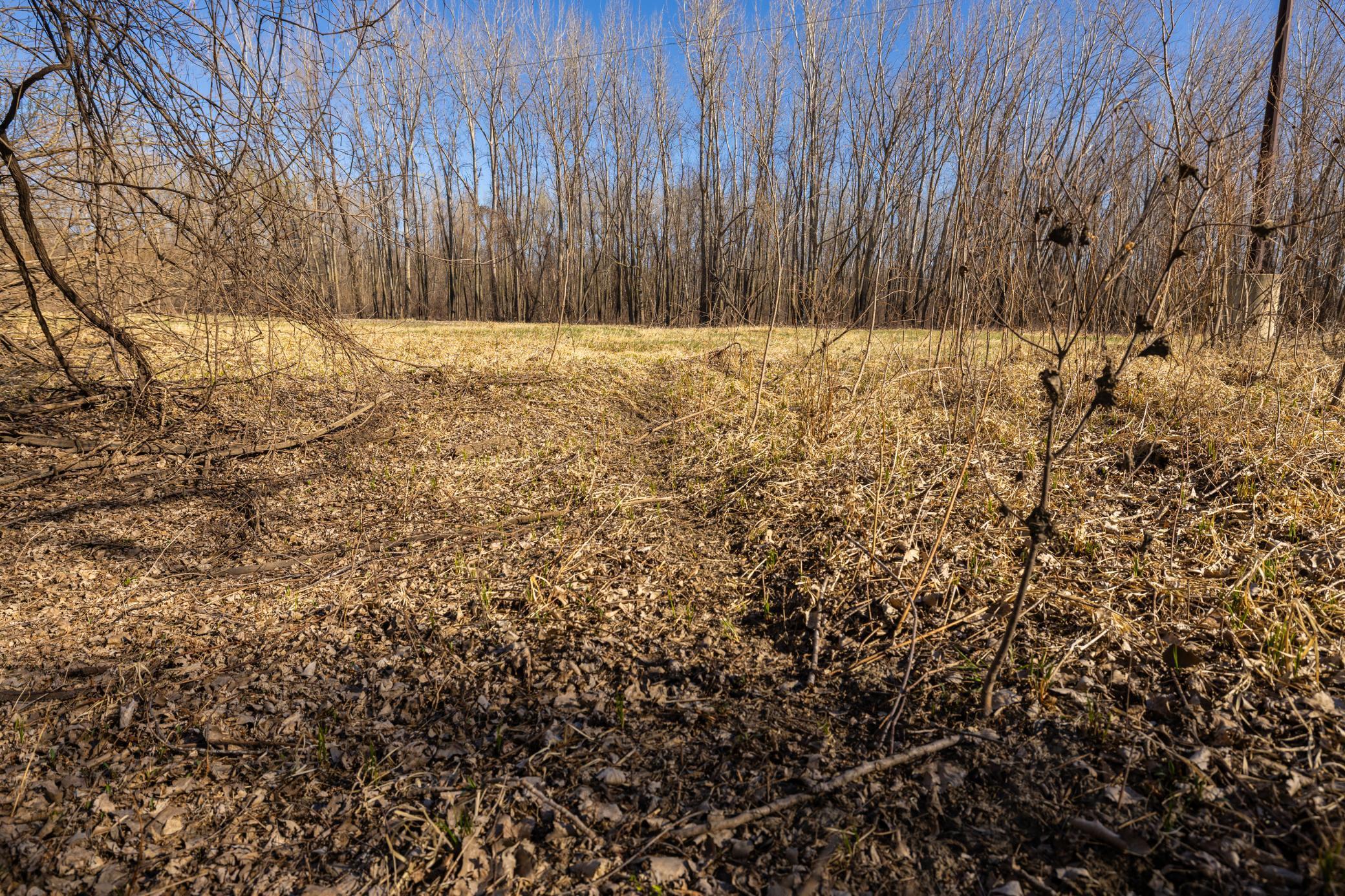 Xxx Grove St., Le Sueur, Minnesota image 48