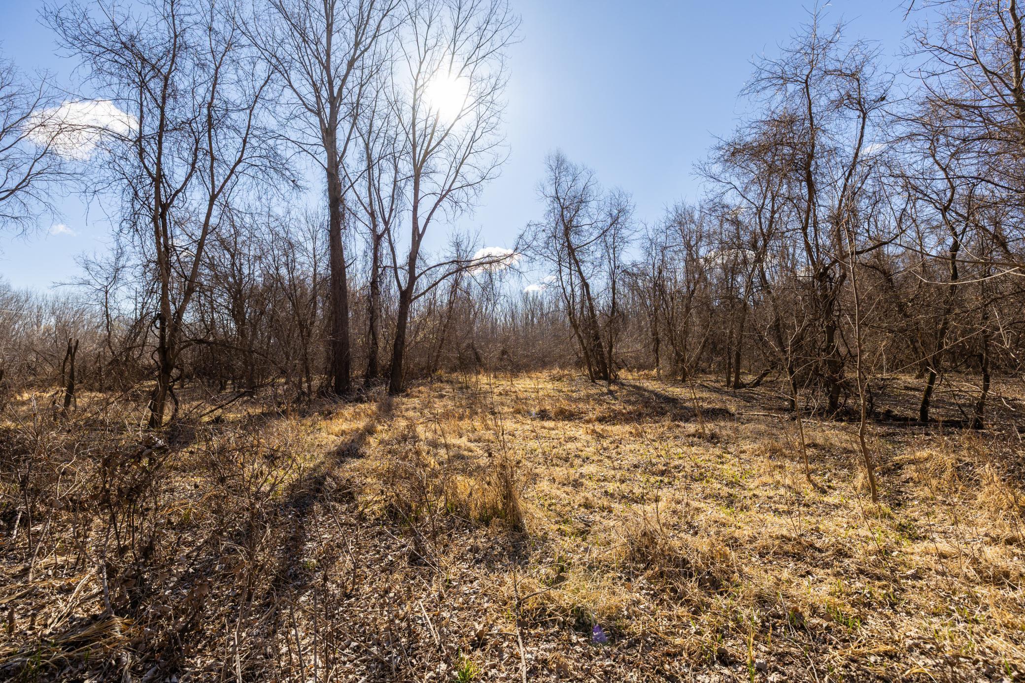Xxx Grove St., Le Sueur, Minnesota image 46