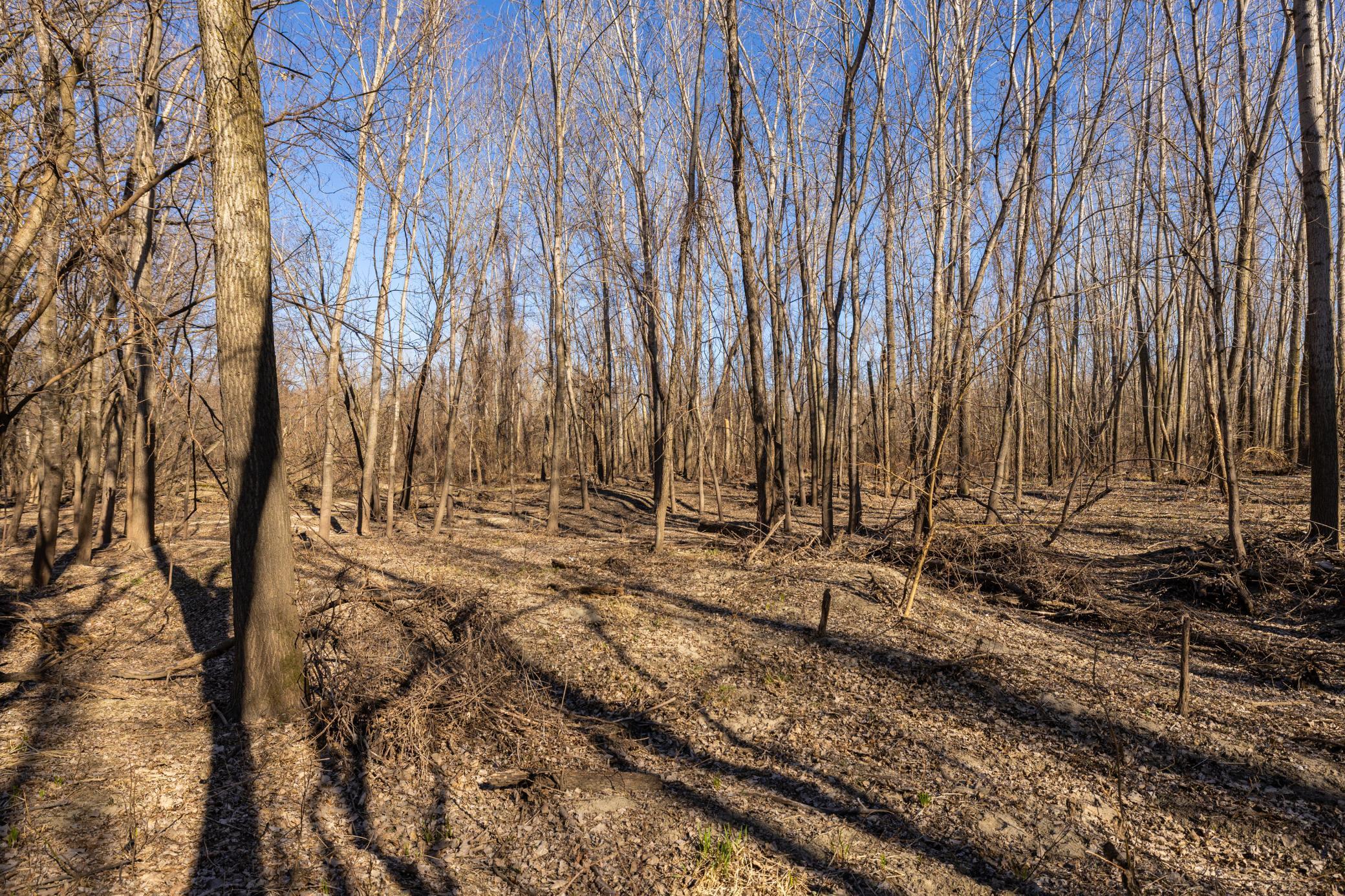 Xxx Grove St., Le Sueur, Minnesota image 33