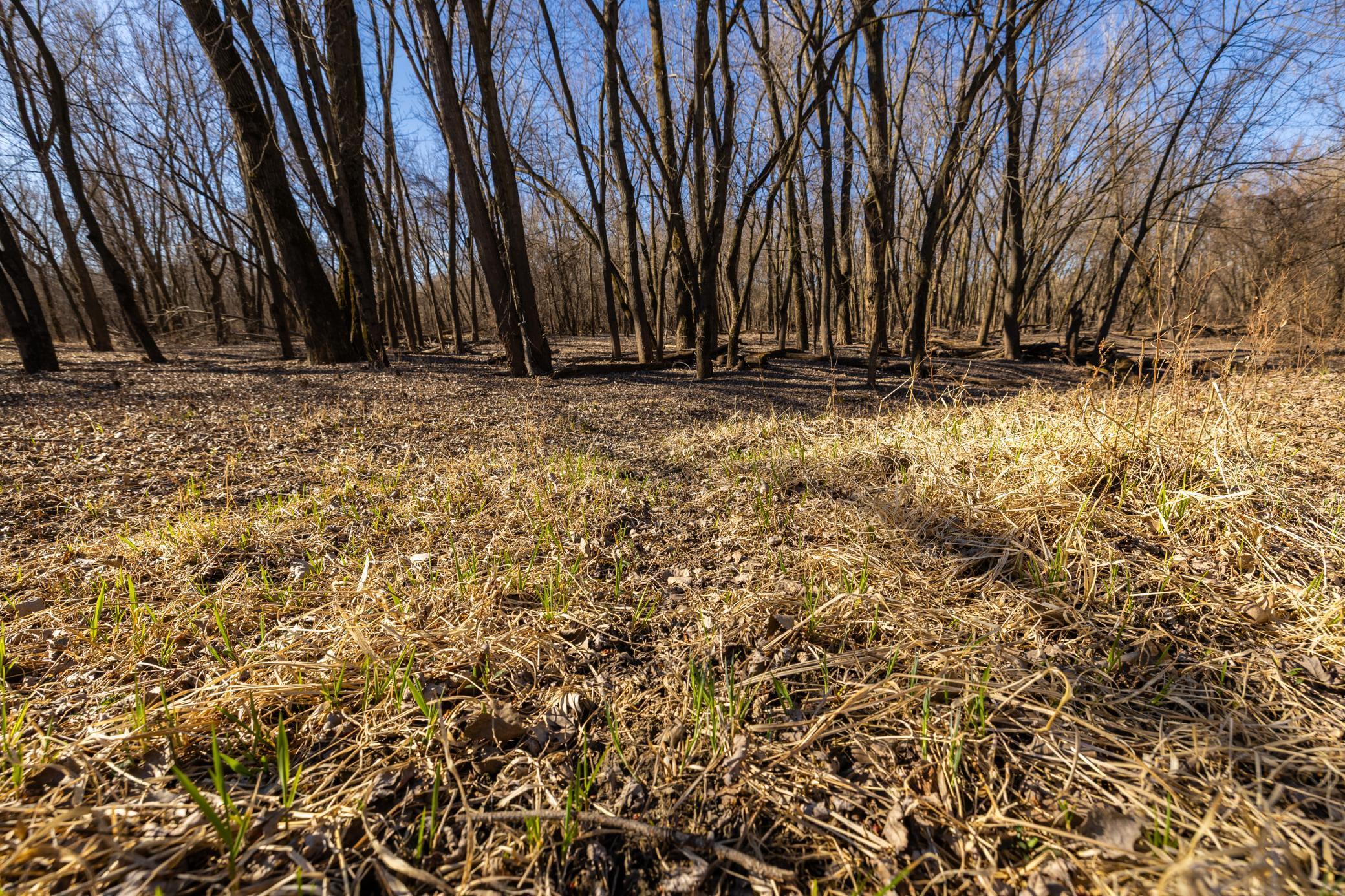 Xxx Grove St., Le Sueur, Minnesota image 37
