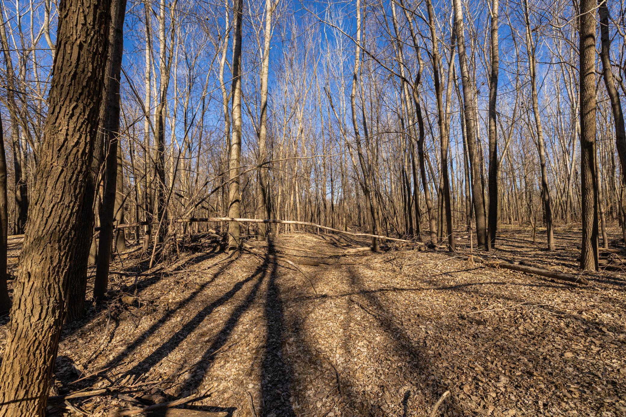 Xxx Grove St., Le Sueur, Minnesota image 32