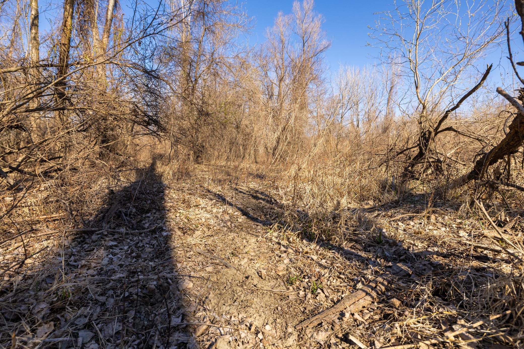 Xxx Grove St., Le Sueur, Minnesota image 39