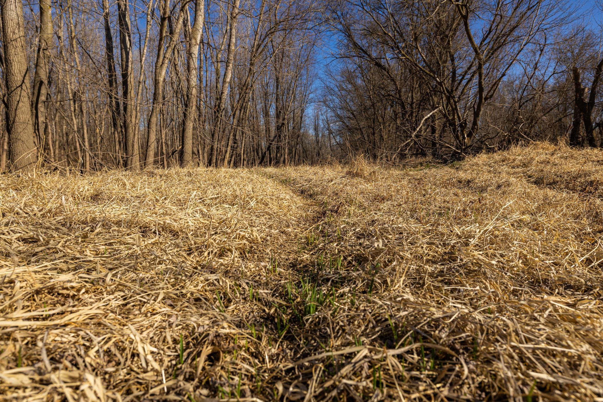 Xxx Grove St., Le Sueur, Minnesota image 26