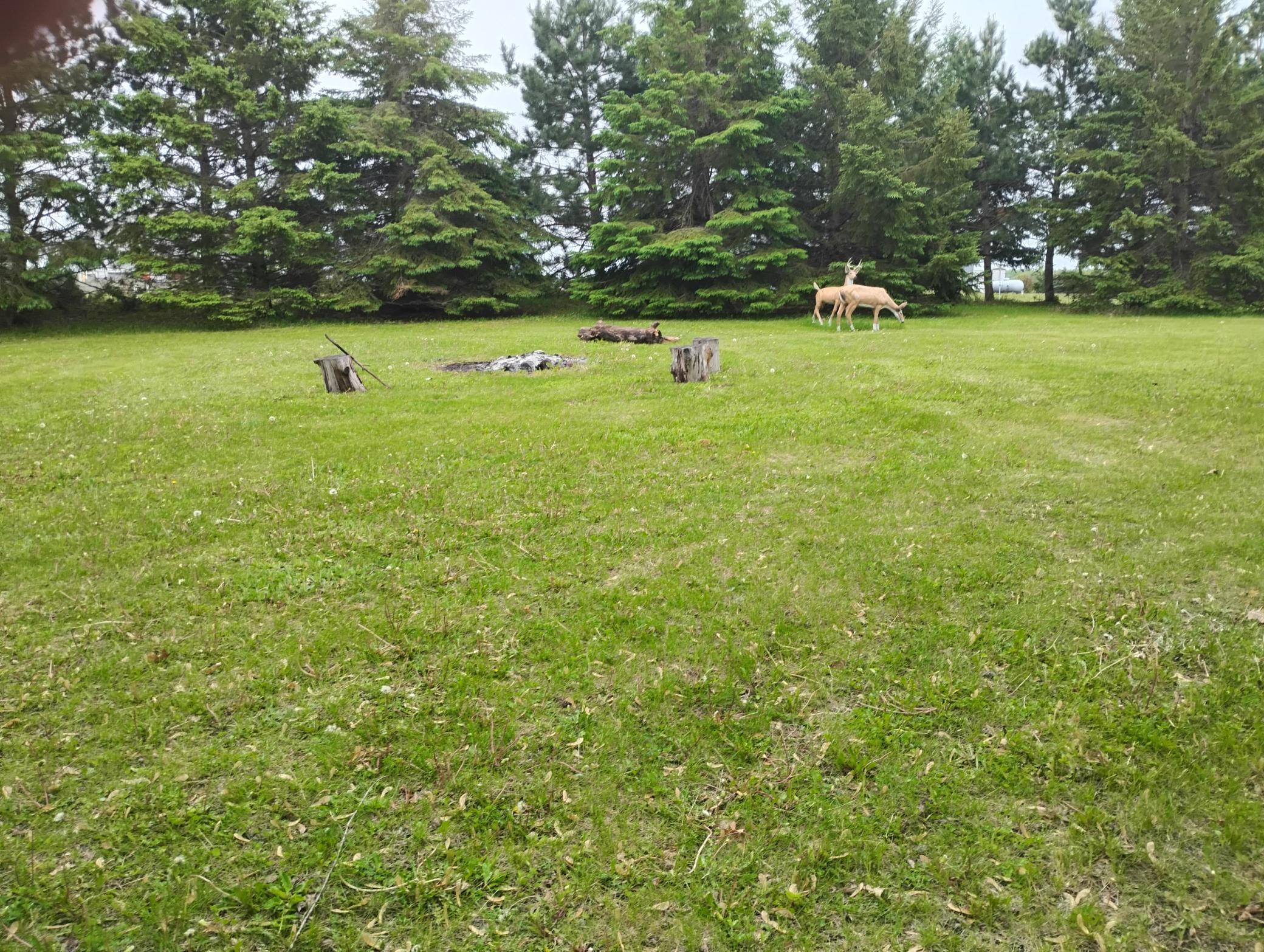 Lot 10 Ann River Drive, Mora, Minnesota image 4
