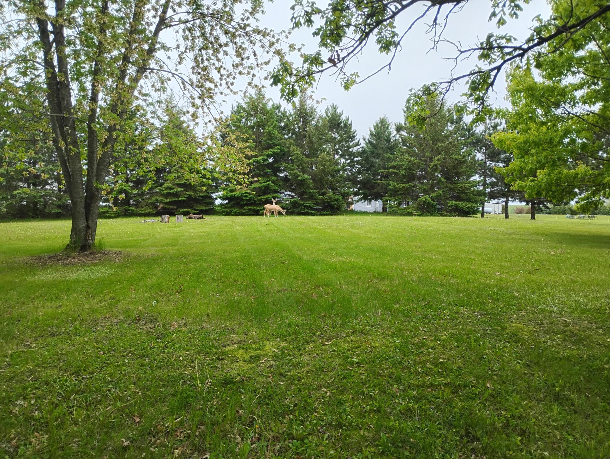 Lot 10 Ann River Drive, Mora, Minnesota image 2