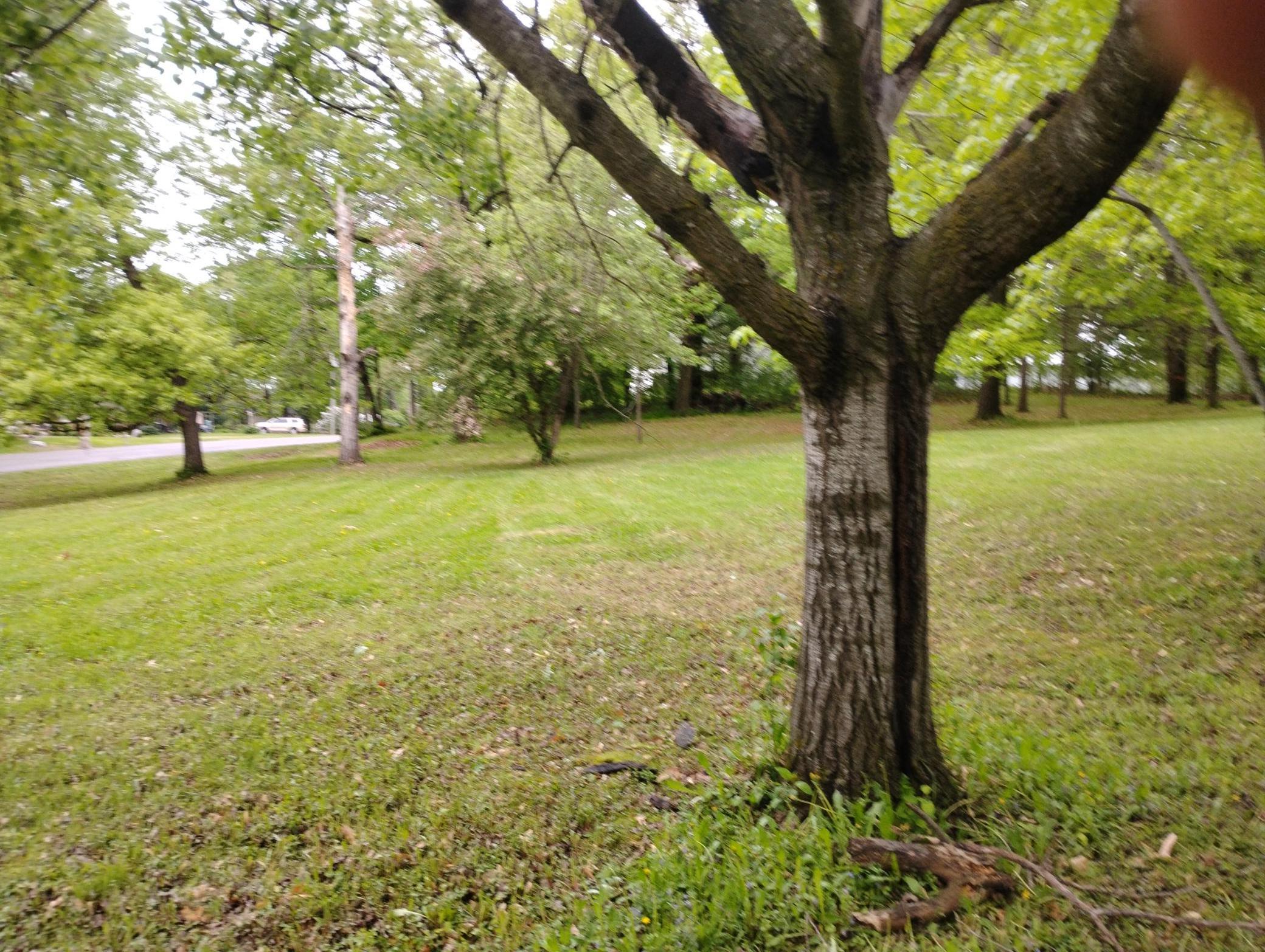 Lot 10 Ann River Drive, Mora, Minnesota image 3