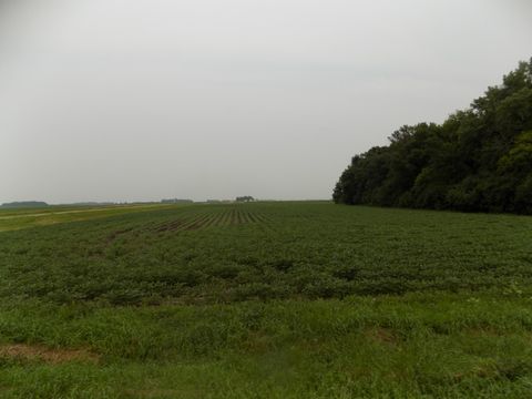 Vacant Land For Sale - 56118 820th Street<br/> Jackson County, Jackson, MN 56143