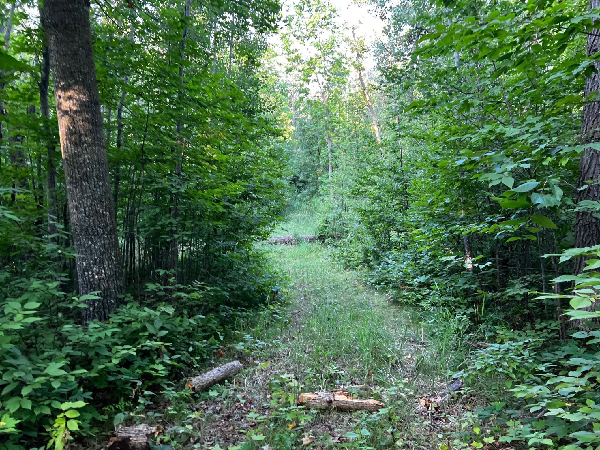 TBD Lot 9 300th Avenue, Lengby, Minnesota image 3