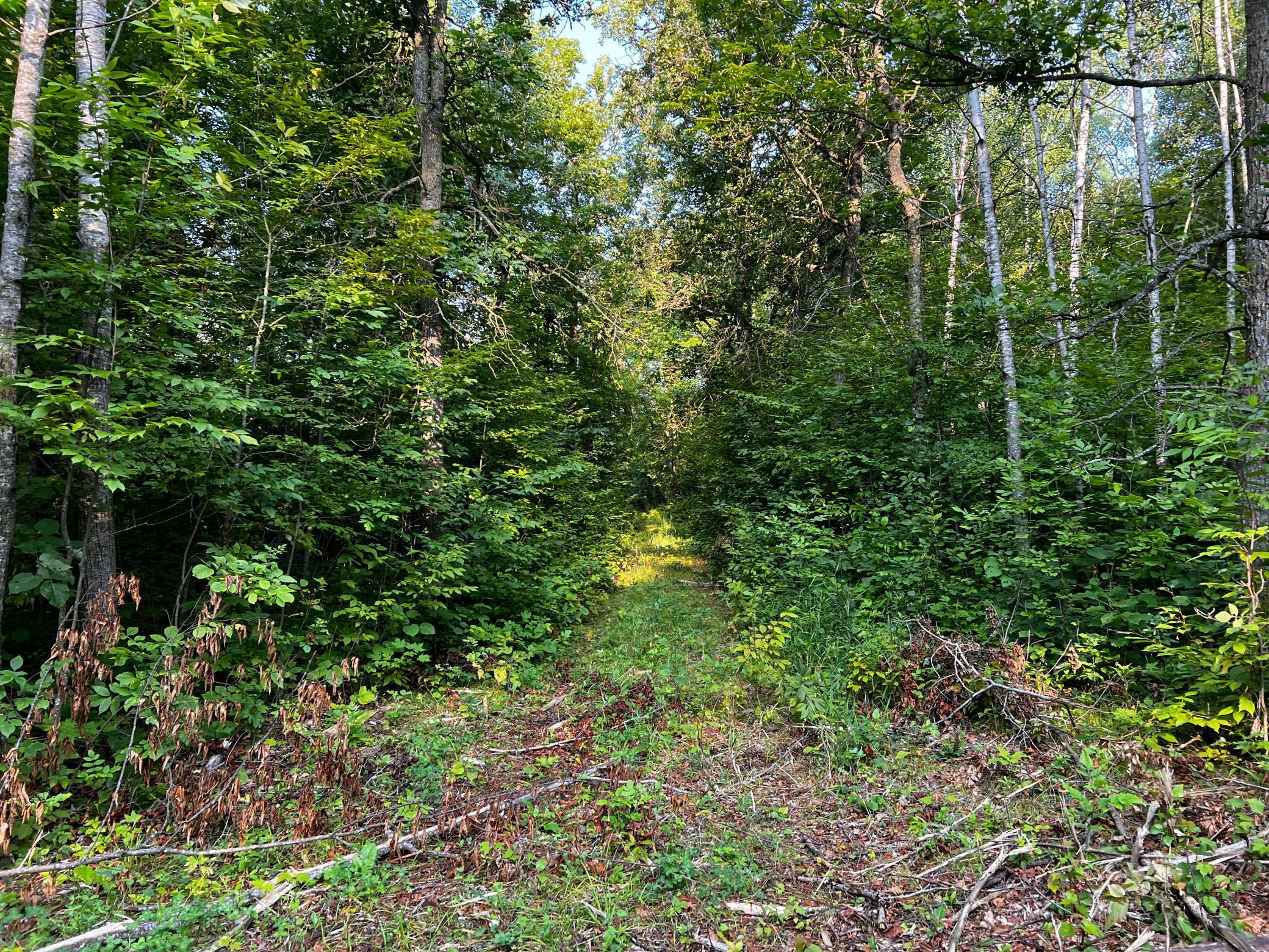 TBD Lot 9 300th Avenue, Lengby, Minnesota image 15