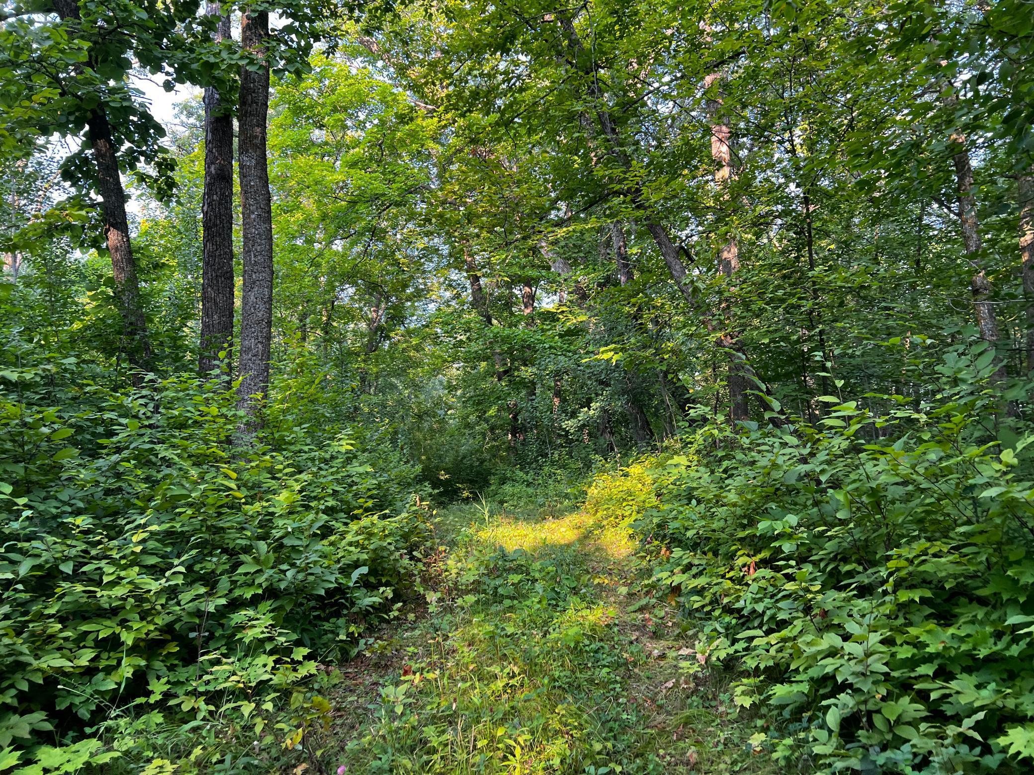 TBD Lot 9 300th Avenue, Lengby, Minnesota image 16
