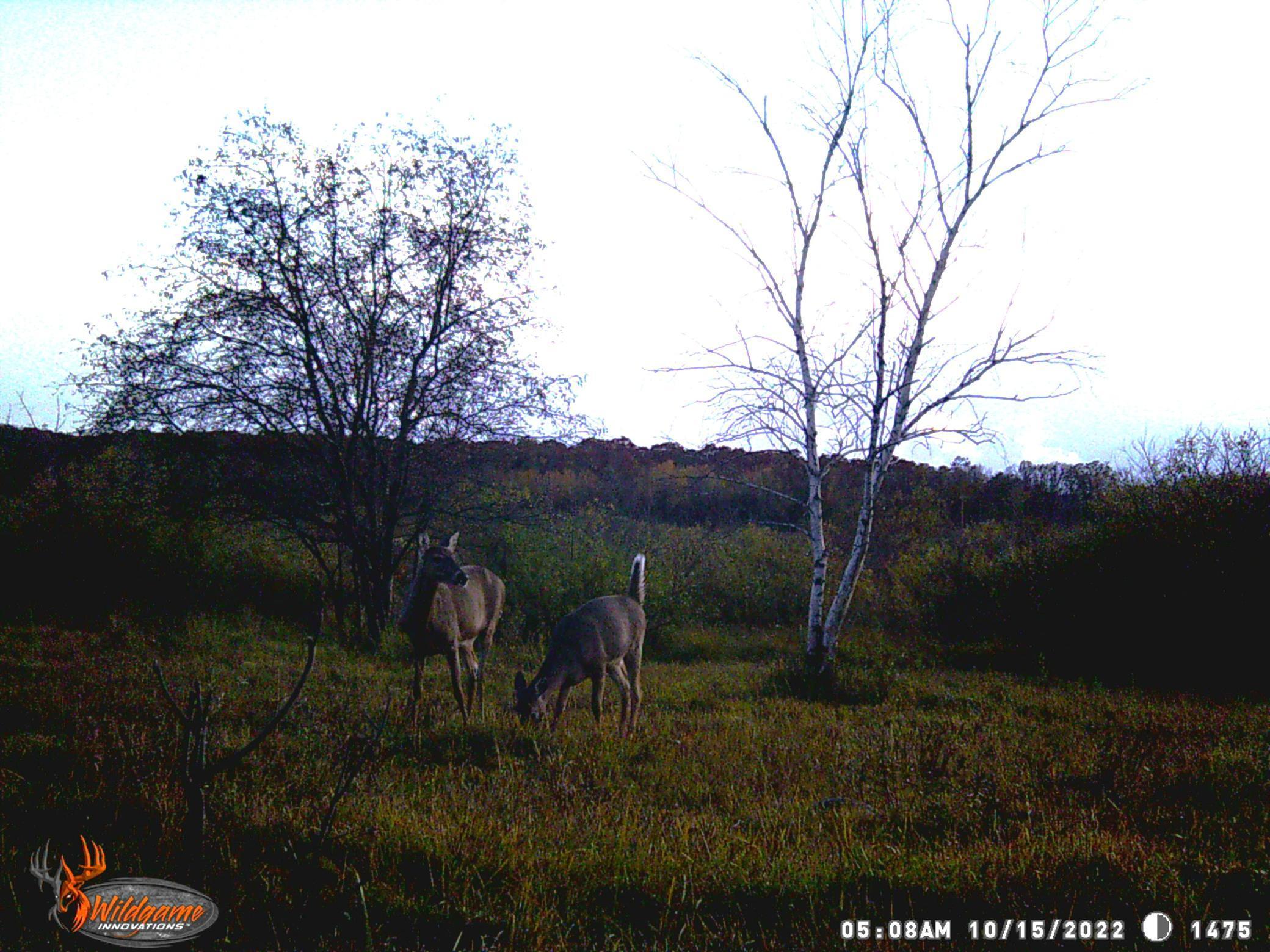 26555 205th Avenue, Fort Ripley, Minnesota image 22