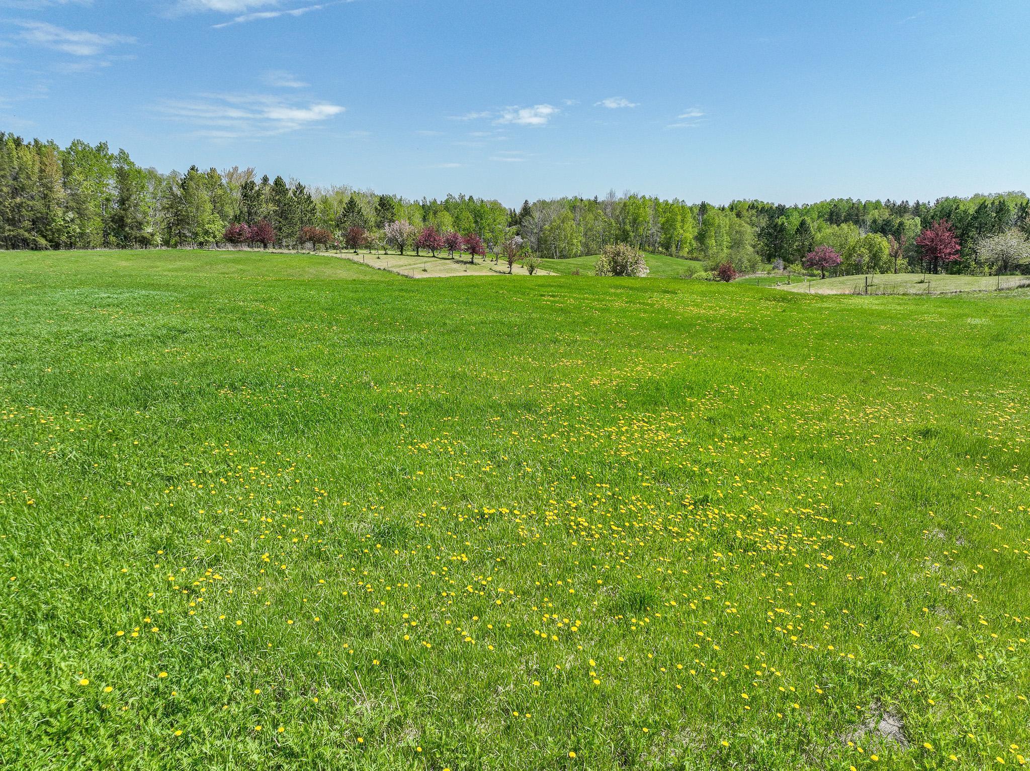 2444 County Rd 1, Wrenshall, Minnesota image 30
