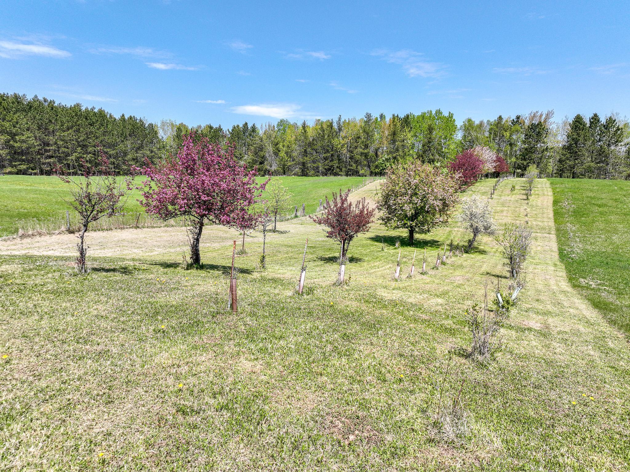 2444 County Rd 1, Wrenshall, Minnesota image 35
